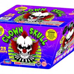 CLOWN SKULL (EACH)